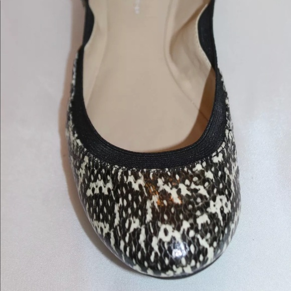 New BCBGgeneration black snake elasticized ballet - Picture 4 of 8